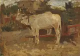 Cesare Ciani, Mucche, oil on cardboard