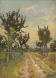 Carlo Passigli, Tra i campi