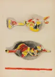 Graham Sutherland, Composizione, lithograph a colori