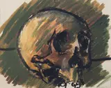 Ennio Morlotti, Teschio, pastel and mixed media on paper