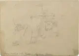 Giovanni Fattori, Buoi