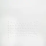 Angelo Brescianini, N. 92 spari pistola cal. 22