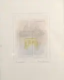 Riccardo Guarneri, Immagine