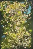Coriandoli by Tano Festa, 1985, acrylic and coriandoli on canvas, offered Dec 2020