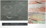 Dennis Oppenheim, Ground Mutations