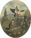 Michelangelo Meucci, Al nido