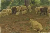 Ruggero Panerai, Al pascolo