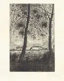 Giuseppe Viviani, Pini con casolare