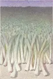 Fabio Aguzzi, Porri, 1992, oil on canvas