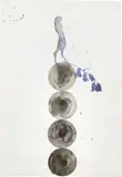Giuseppe Gallo, Campanule