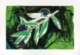 Mario Schifano, Olivo, 1996, enamel and acrylic on canvas