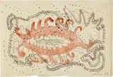 Lucio Fontana, Concetto spaziale