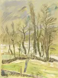 Mario Cavaglieri, Alberi attorno allo stagno di Peyloubère, watercolour on paper