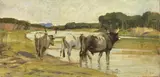 Luigi Gioli, Pascolo sul fiume, oil on cardboard