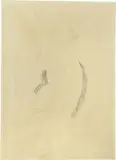 Amedeo Modigliani, Cariatide verso sinistra