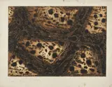 Zoran Mušič, Terres Adriatiques, 1959, etching