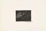 Luigi Bartolini, Scarabeo