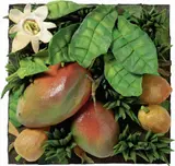 Piero Gilardi, Passiflora e mangos