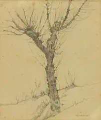 Albero by Llewelyn Lloyd, pencil on paper, offered Apr 2019