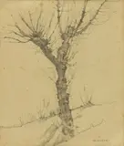 Llewelyn Lloyd, Albero