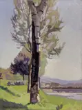 Llewelyn Lloyd, Pioppi sull'Arno. Le Cascine