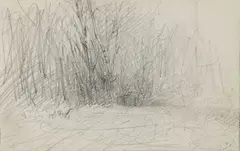 Studio di bosco by Giuseppe De Nittis, pencil on paper, offered Apr 2019
