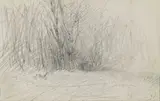 Giuseppe De Nittis, Studio di bosco