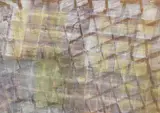 Luci di Venezia by Tancredi Parmeggiani, 1959, tempera on paper applicata on canvas, offered Dec 2018