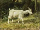 Filippo Palizzi, Capretta nel bosco, oil on cardboard