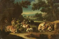 Giacomo Nani, Conigli, oil on canvas