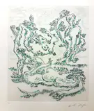 André Masson, Mythologie végétale, 1971, etching and acquatinta