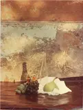 Mario Giacomelli, Natura morta