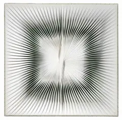 Alberto Biasi, Rilievo dinamico, 1964, mixed media