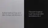 Joseph Kosuth, Mens agitat molem #21, 2003, screenprint on alluminio
