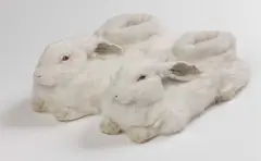 Rabbit Slippers # 3 by Wim Delvoye, 2006, pelli di coniglio conciate on sagoma, offered Jun 2018