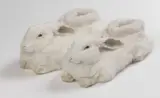 Wim Delvoye, Rabbit Slippers # 3