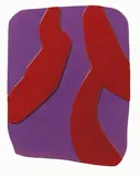 Carla Accardi, Ricomposte tinte