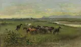 Lorenzo Gelati, Cavalli bradi