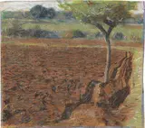 Giacomo Balla, Paesaggio con un albero