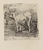 Giovanni Fattori, Bove nella stalla, etching on zinco