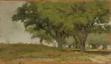 Querceto by Giovanni Fattori, 1894, oil on panel, offered Oct 2017