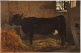 Odoardo Borrani, Mucchina nera nella stalla