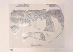Giosetta Fioroni, Doppio Liberty Silver, Esemplare