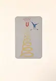 Felice Levini, Salto magnetico