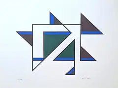 Mario Radice, Composizione, Esemplare