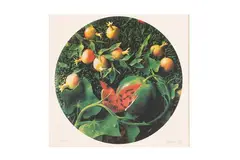 Piero Gilardi, Natura morta con cocomero e melograni, 1997