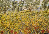 Michele Cascella, Ginestre in Toscana