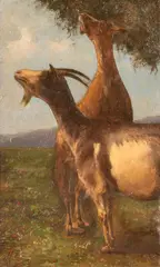Antonio Milone, Caprette al pascolo