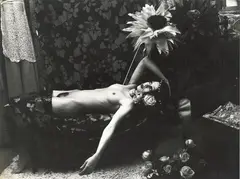 Irina Ionesco, Fafa, 1977, accompagnata da stampa on acetato con ingrandimento del soggetto principale