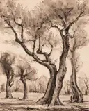 Aldo Raimondi, Veduta di Desenzano